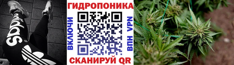 Магазины продажи наркотиков Калининец ГАШ  СОЛЬ  Меф  МАРИХУАНА  MEGA вход  Cocaine  АМФЕТАМИН 