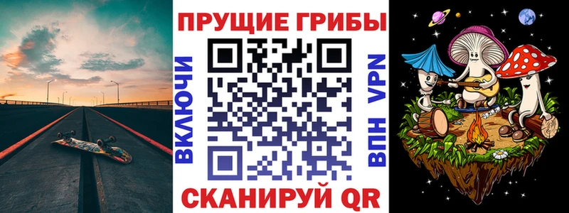 Галлюциногенные грибы MAGIC MUSHROOMS  сайты даркнета телеграм  Калининец  где купить наркоту 